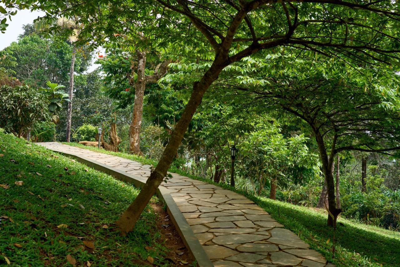 Haze And Kites Resort Munnar Εξωτερικό φωτογραφία