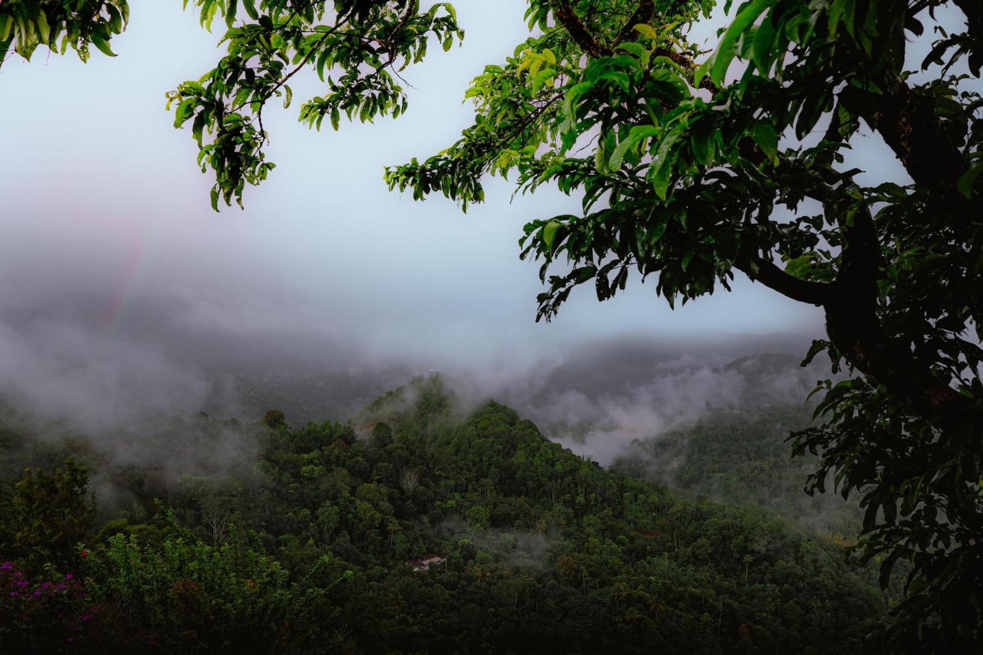 Haze And Kites Resort Munnar Εξωτερικό φωτογραφία