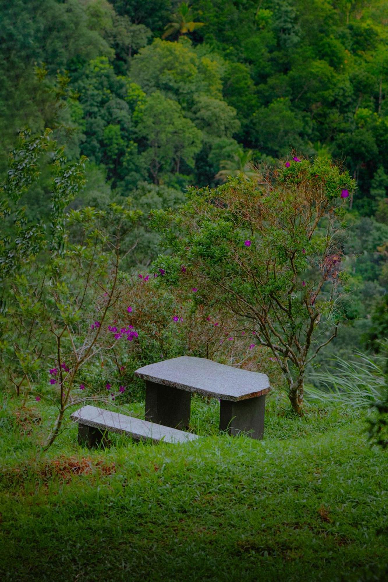 Haze And Kites Resort Munnar Εξωτερικό φωτογραφία