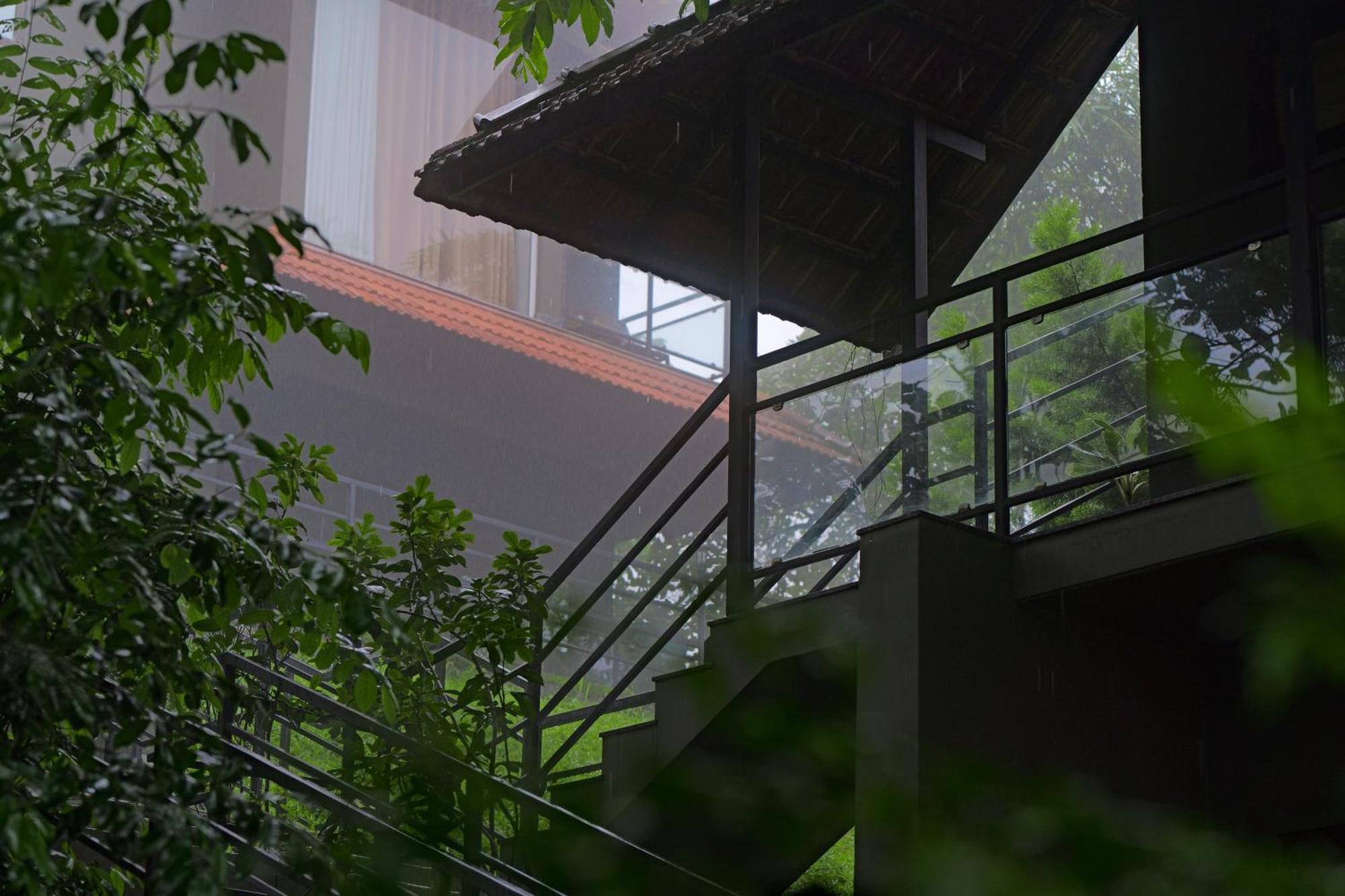 Haze And Kites Resort Munnar Εξωτερικό φωτογραφία