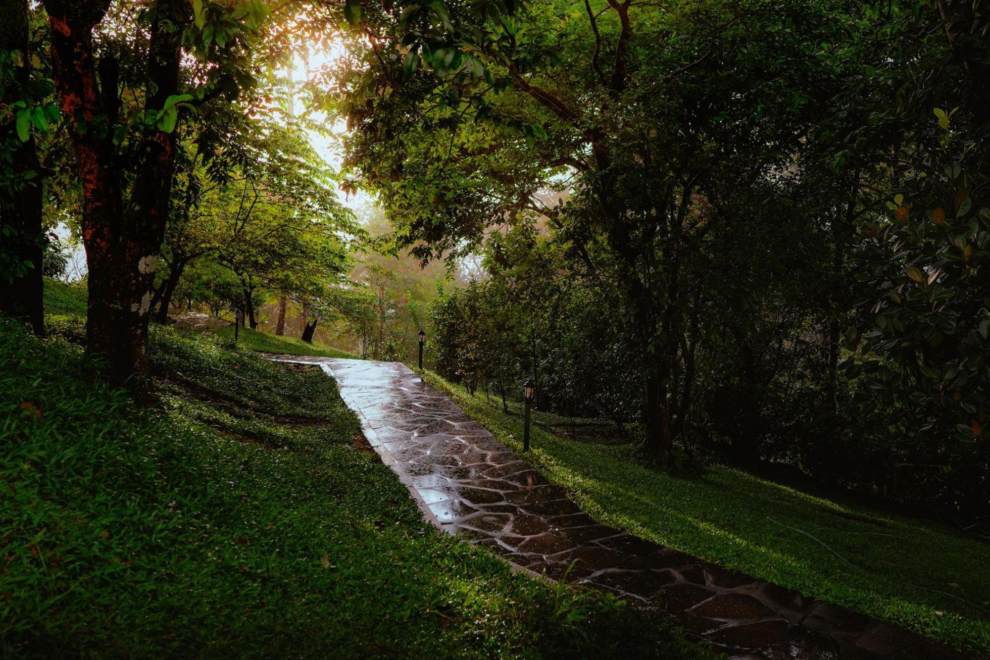 Haze And Kites Resort Munnar Εξωτερικό φωτογραφία