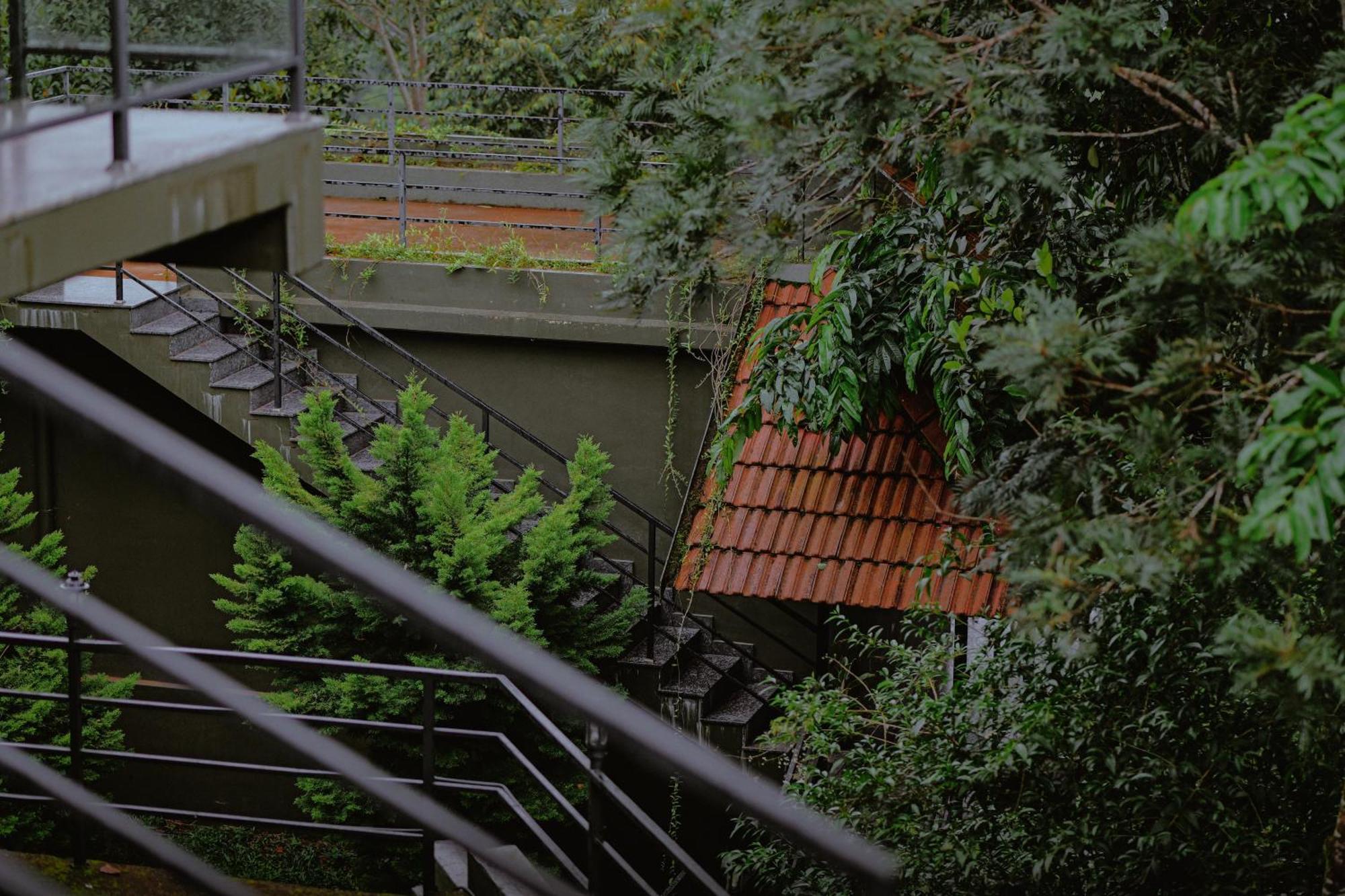 Haze And Kites Resort Munnar Εξωτερικό φωτογραφία